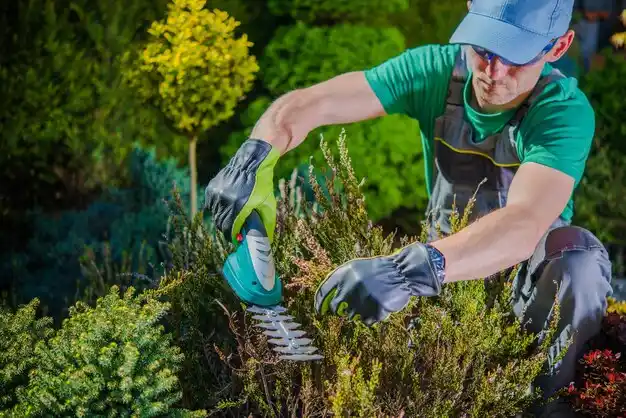 landscaping services Chesterfield